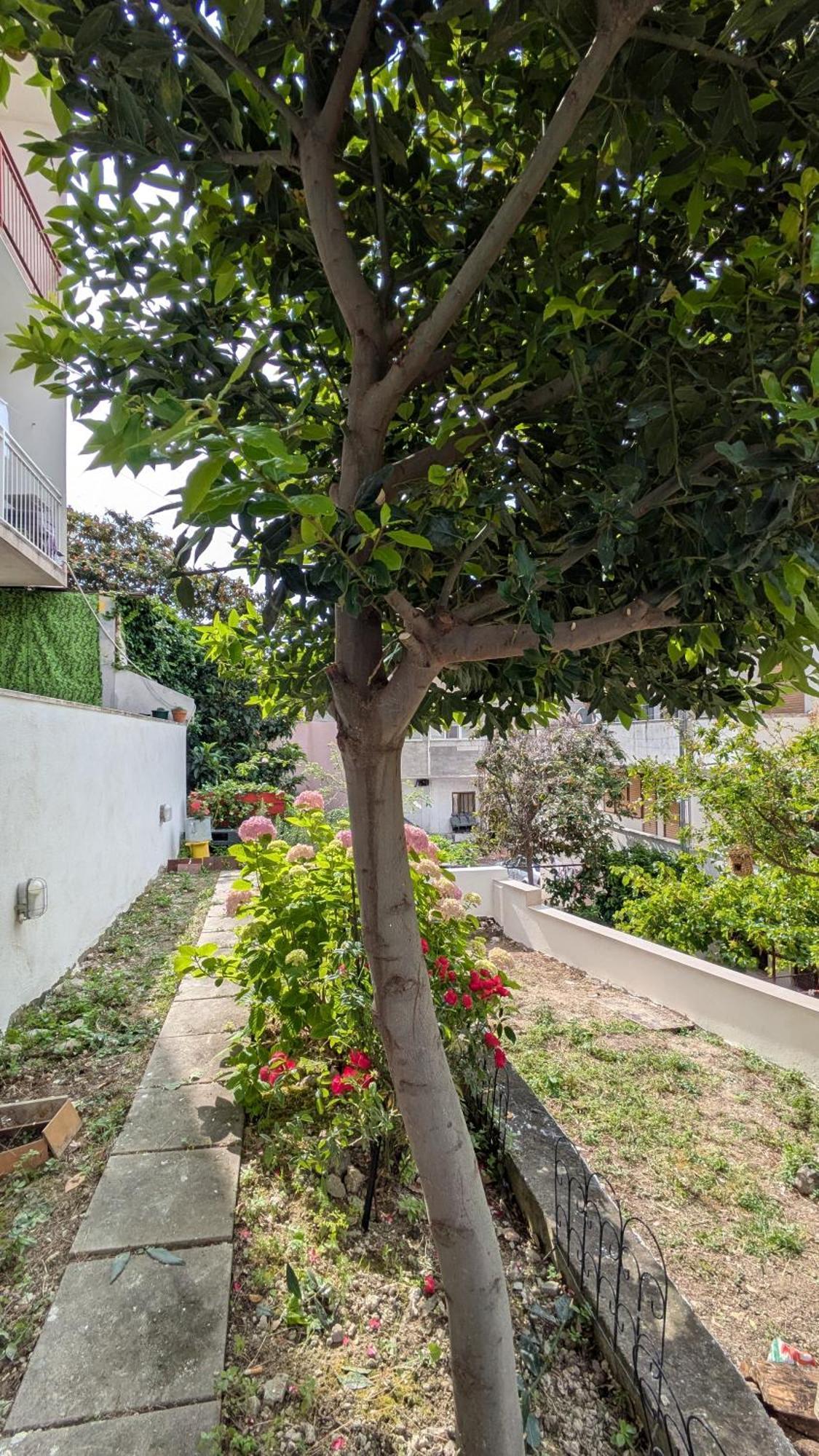 Misho Apartment With Terrace Split Ngoại thất bức ảnh